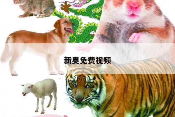 新奥免费视频/新奥最新消息