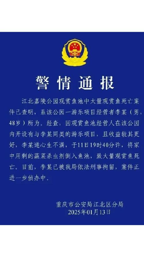 男子失踪7年被找到,男子失踪7年被找到 正躺桥洞玩手机